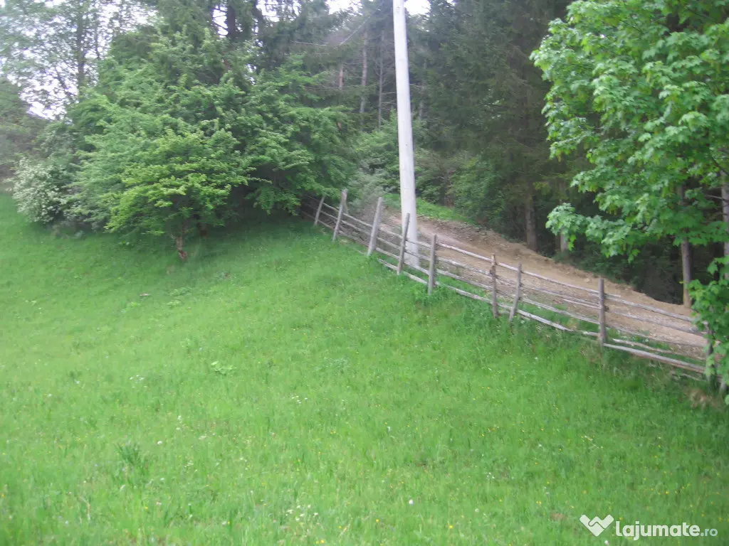 Teren intravilan Valea Doftanei 