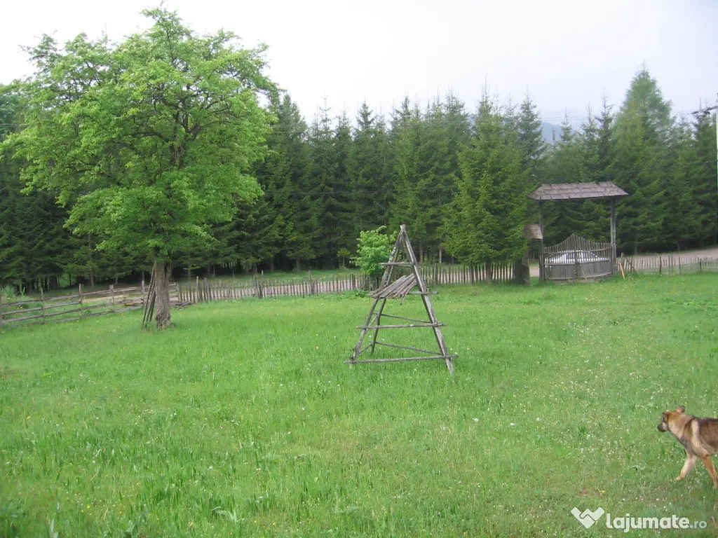 Teren intravilan Valea Doftanei 