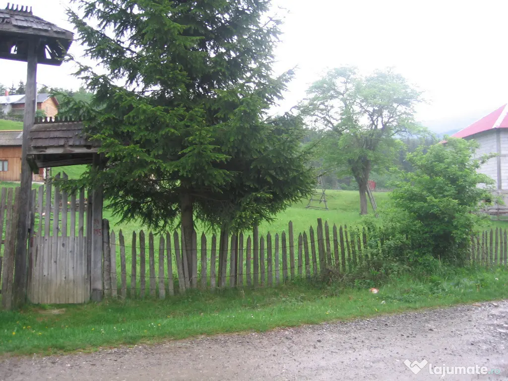 Teren intravilan Valea Doftanei 