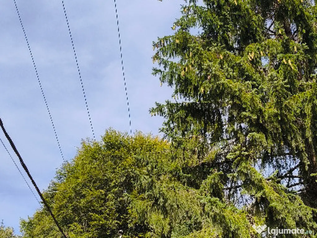 Teren intravilan Valea Doftanei 