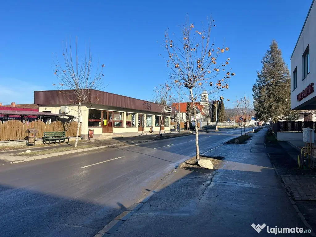 Spațiu comercial 30 mp, în Piața Agroalimentară, Cova... 