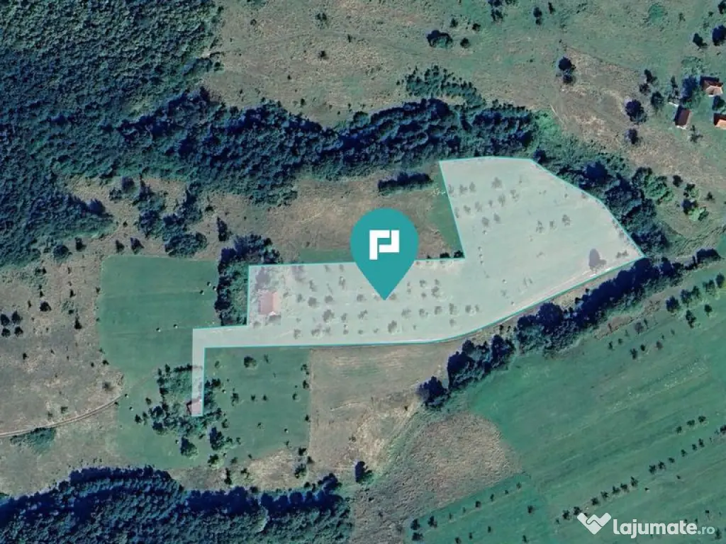 Teren de 92294 in Halmagiu