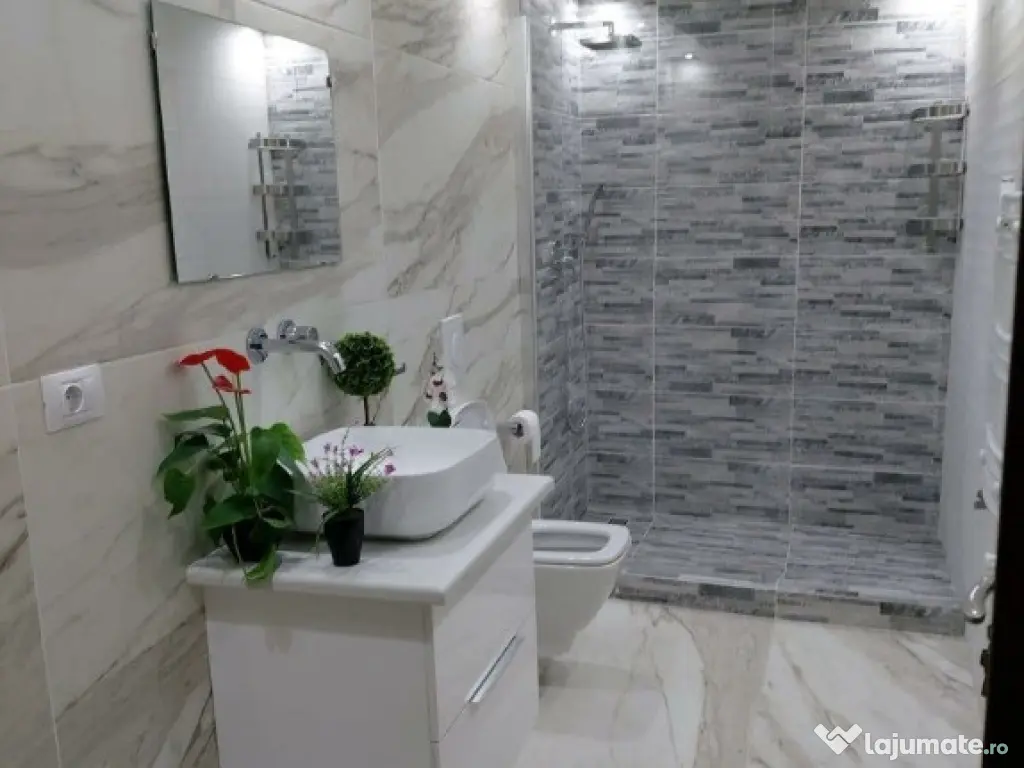 Casa / Vila ( P+1+M ) Zona Burdujeni