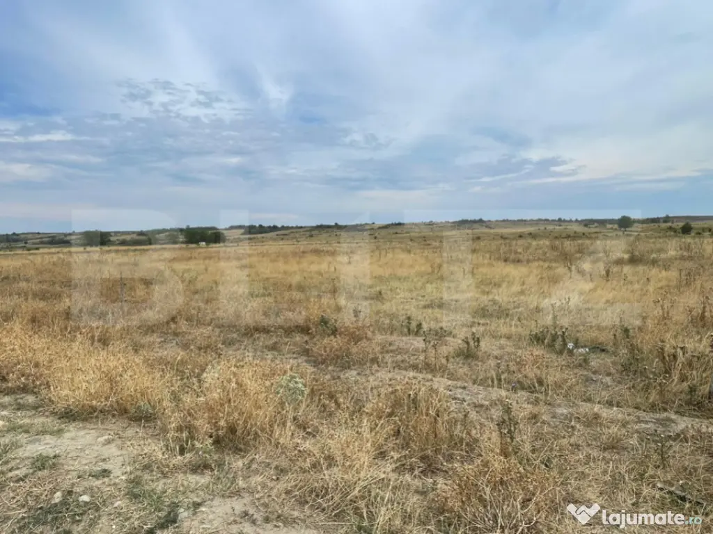 Oportunitate excelentă de investiție în zonă în dezvolt