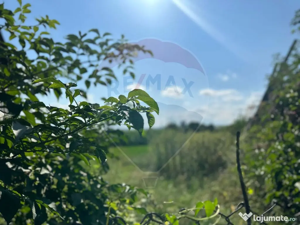 Teren intravilan 3.765 mp cu casă – Bodești de Jos