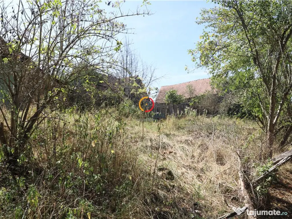 Casa traditionala Bruiu Somartin judet Sibiu 