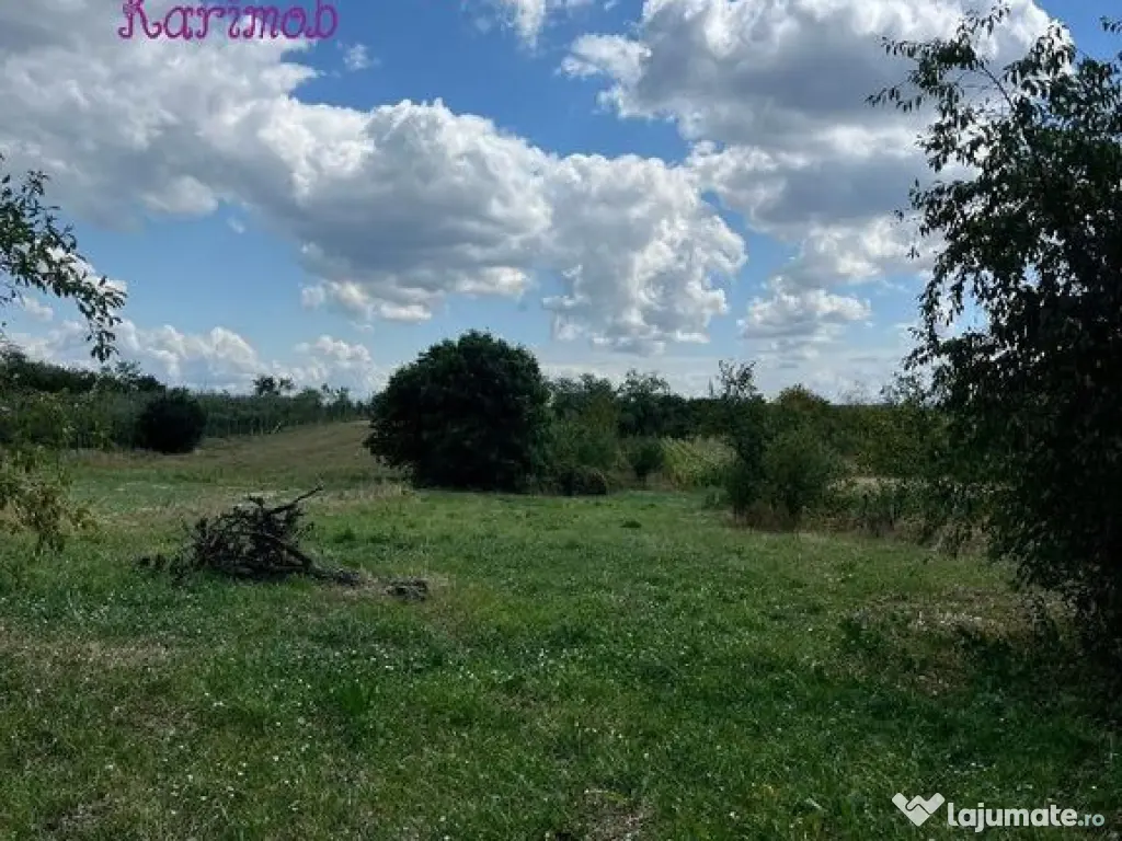 Casa in localitatea Carandeni 