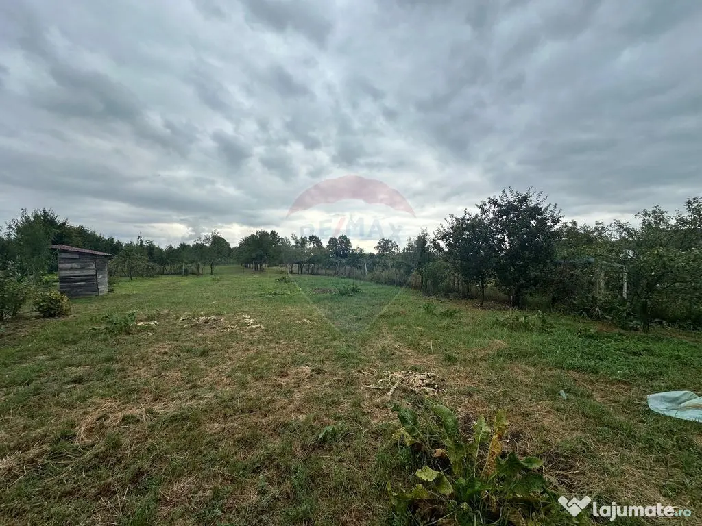 30 arii TEREN INTRAVILAN cu o GOSPODARIE veche 