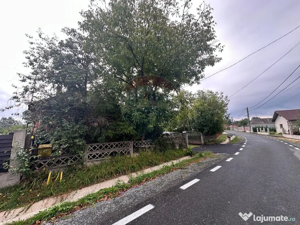30 arii TEREN INTRAVILAN cu o GOSPODARIE veche 
