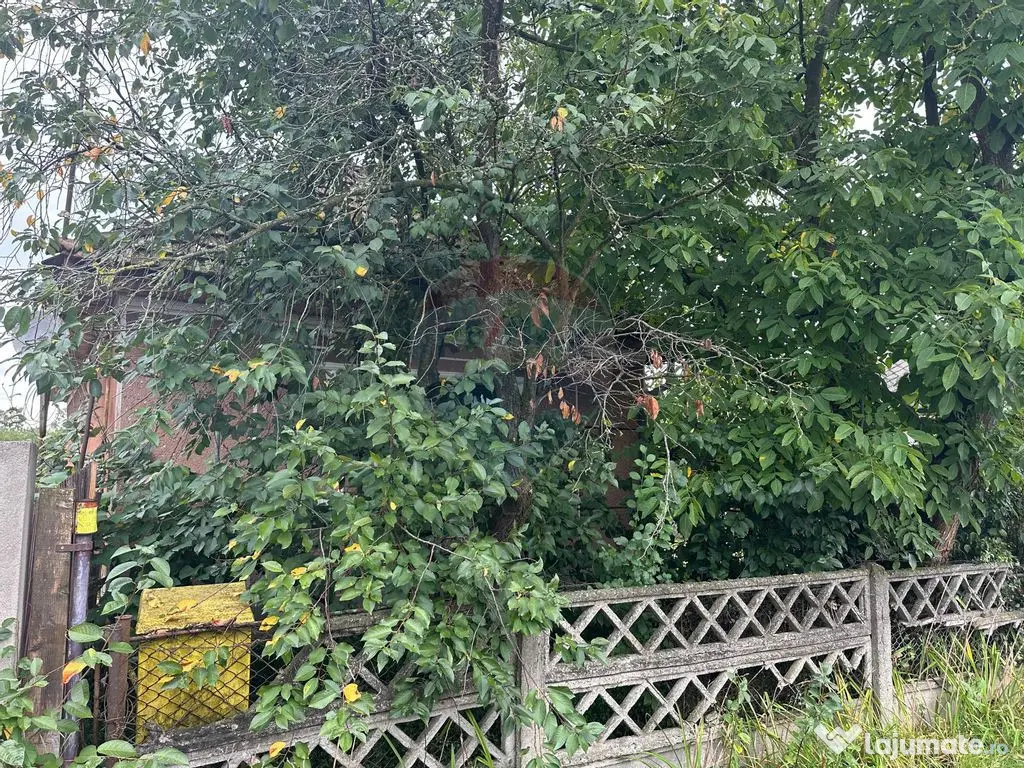 30 arii TEREN INTRAVILAN cu o GOSPODARIE veche 