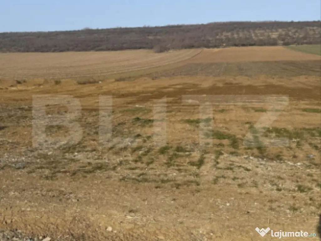 Teren intravilan, 3200 mp la DN 85, la ieșirea din Suceava