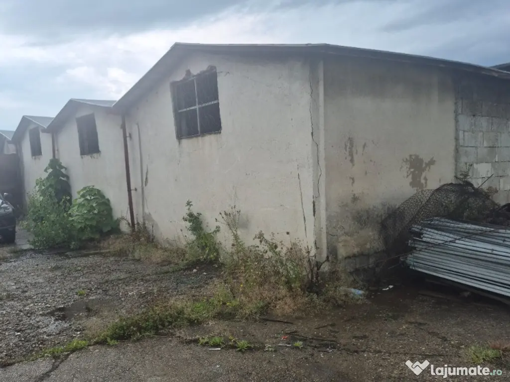 Electrolizei, hala 700mp 