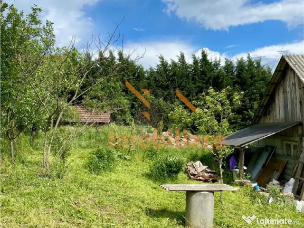 TEREN SI CASA UILEACUL DE MUNTE | 2.215MP 