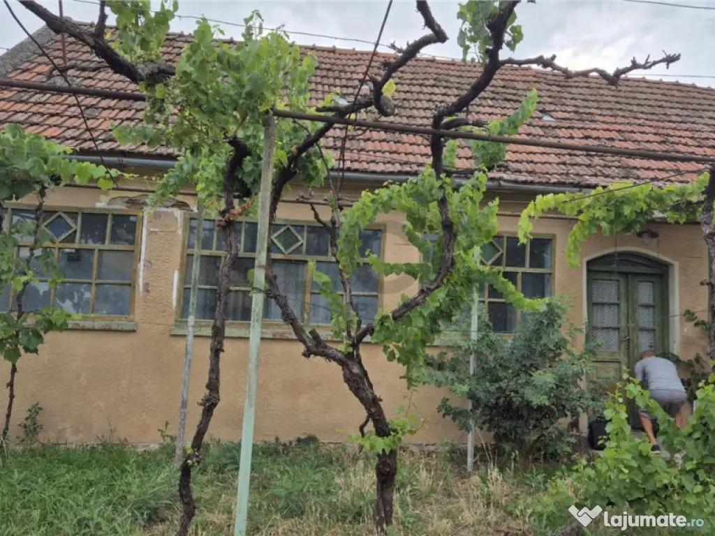 RECO Casa in Cheresig