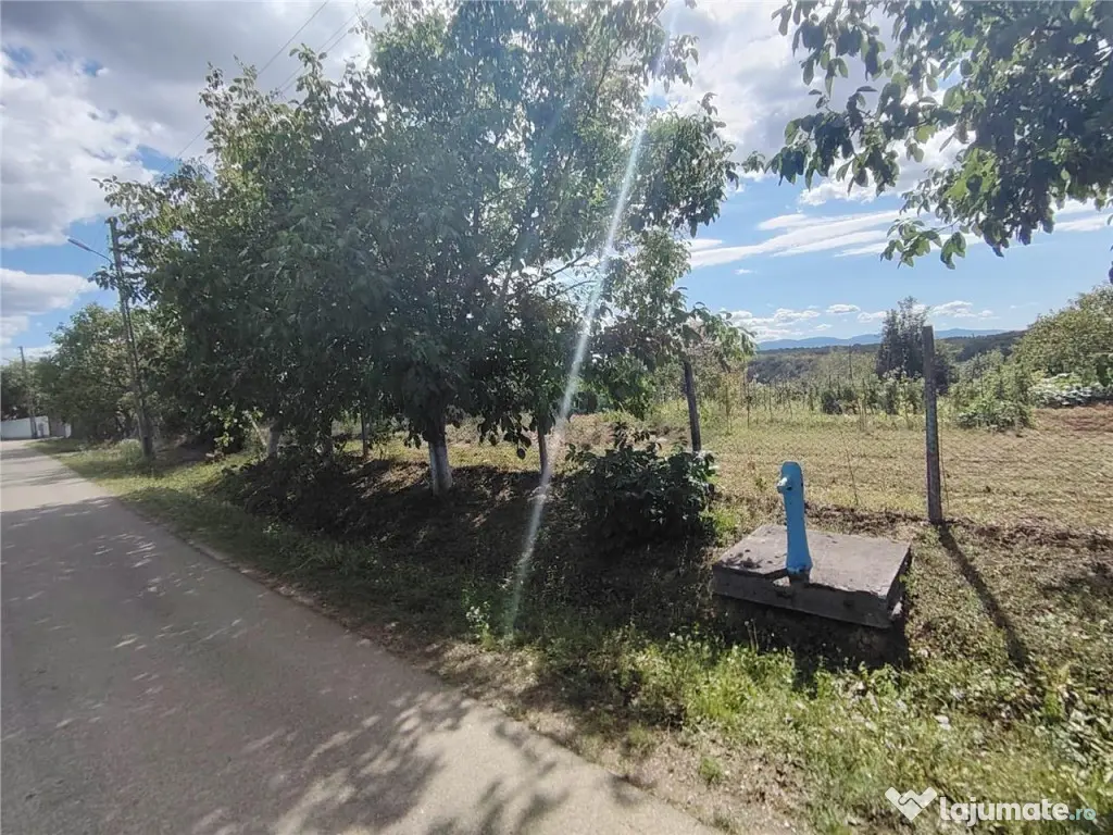 RECO teren intravilan in Saliste de Beius 