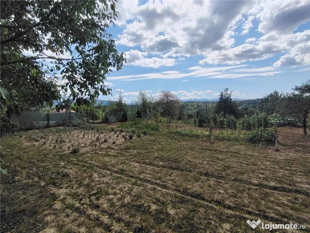 RECO teren intravilan in Saliste de Beius 