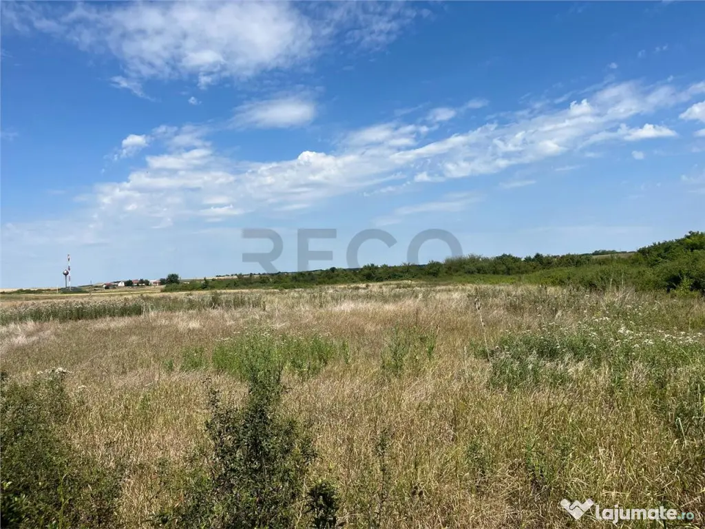 RECO Teren intravilan 3,9 ha -Les