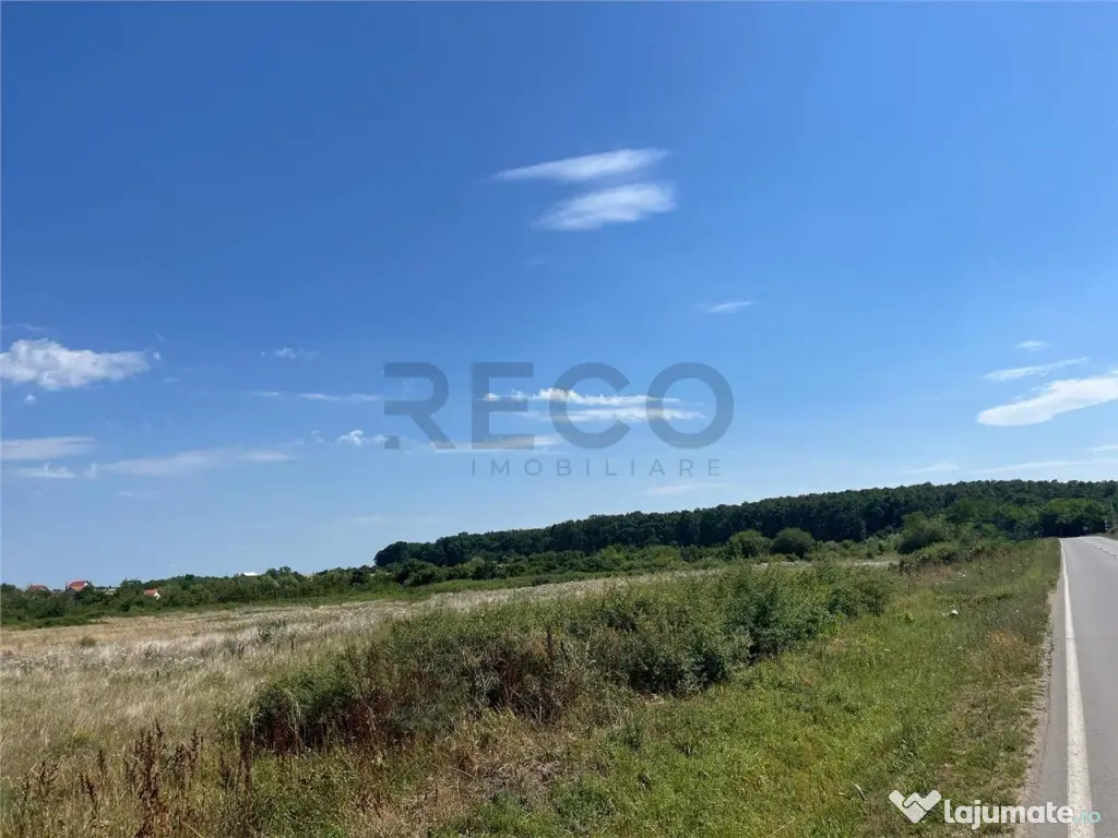 RECO Teren intravilan 3,9 ha -Les 