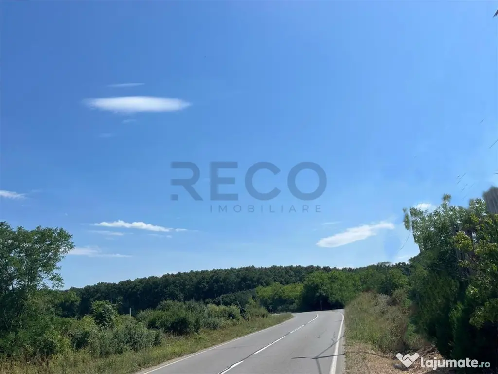 RECO Teren intravilan 3,9 ha -Les 