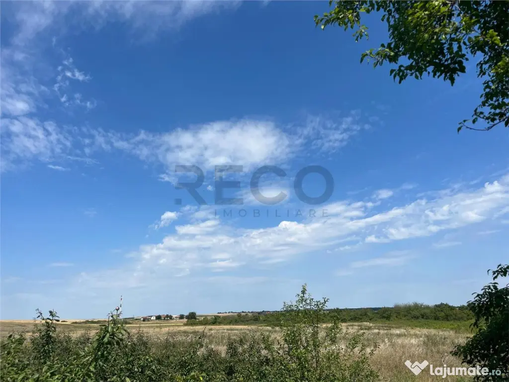 RECO Teren intravilan 3,9 ha -Les 