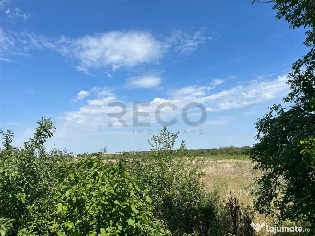 RECO Teren intravilan 3,9 ha -Les 