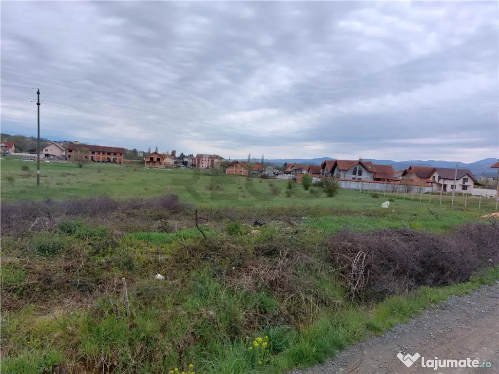 RECO Teren 4935mp in Beius 