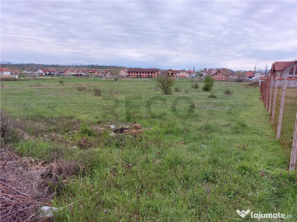 RECO Teren 4935mp in Beius 