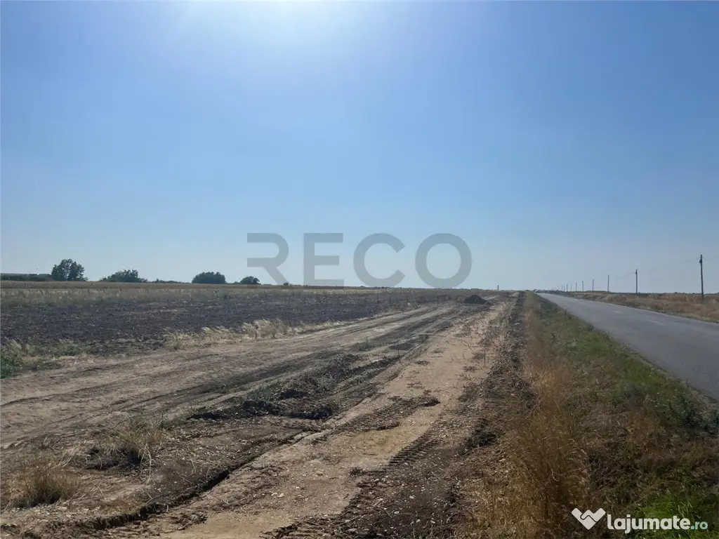 RECO Teren extravilan cu acces la drumul Oradea-Livada de B 