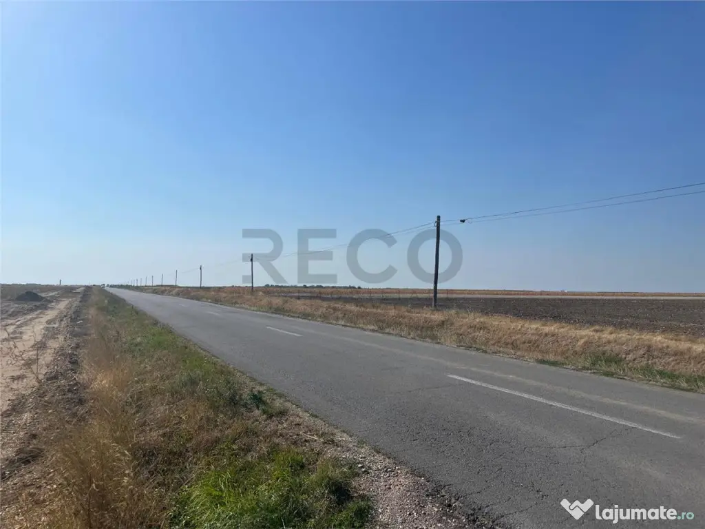 RECO Teren extravilan cu acces la drumul Oradea-Livada de B 