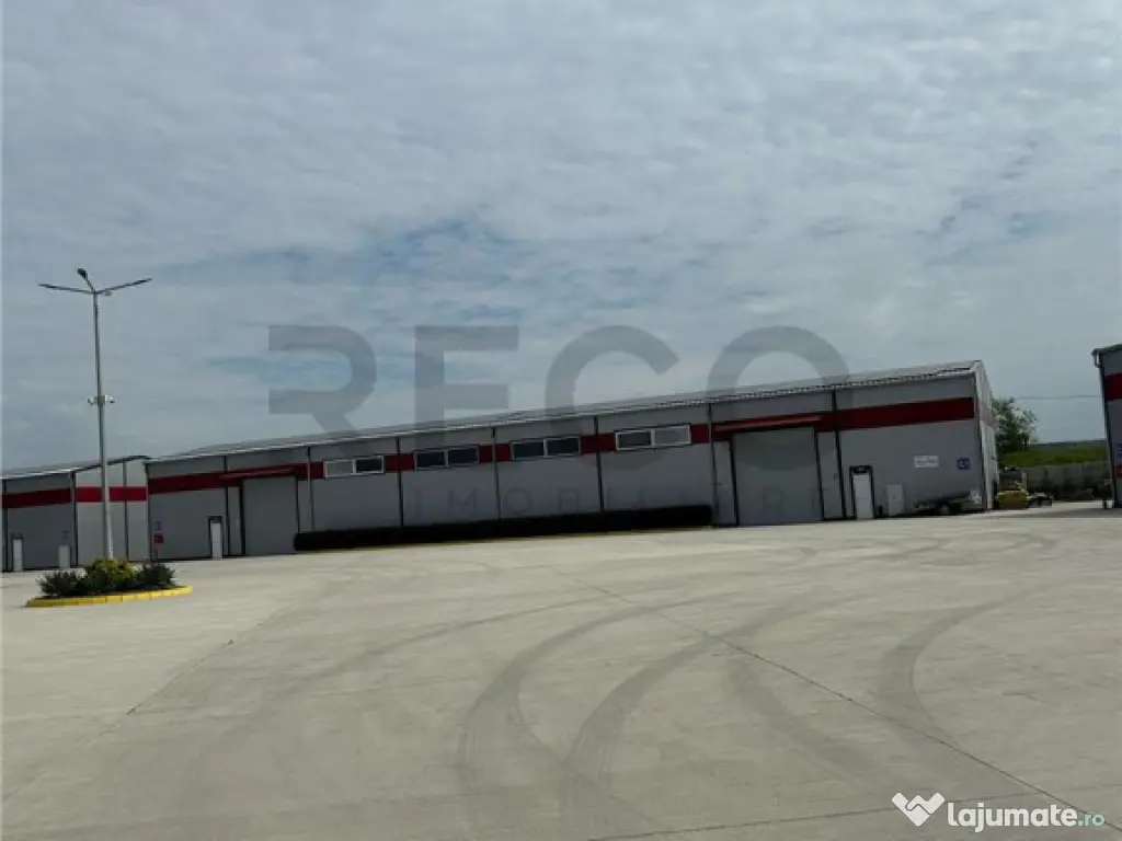 RECO Hala industriala zona de vest 