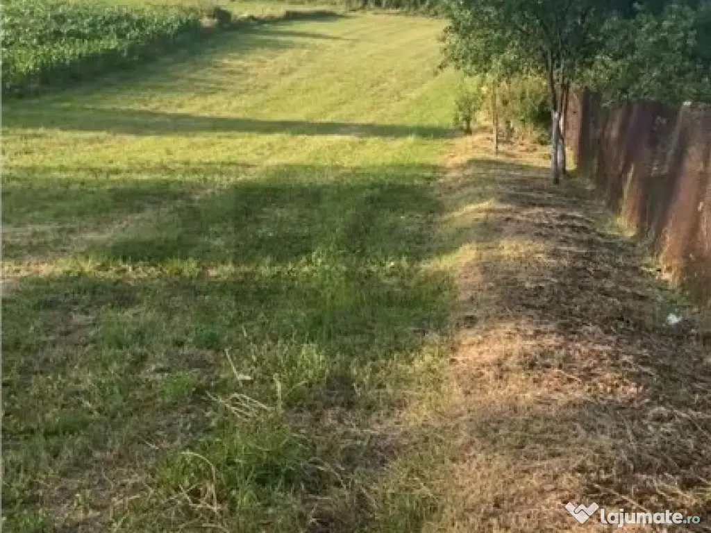 Reco Teren 5800 mp in Ghenetea | Strada asfaltata recent