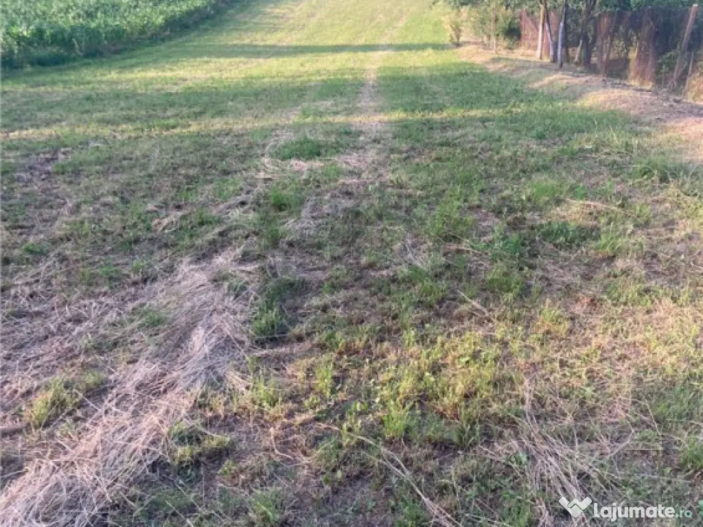 Reco Teren 5800 mp in Ghenetea | Strada asfaltata recent 