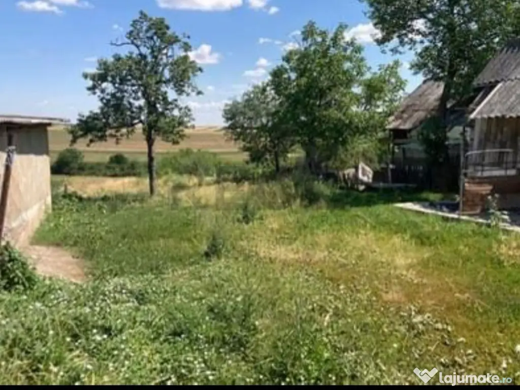 Reco Teren 5800 mp in Ghenetea | Strada asfaltata recent 