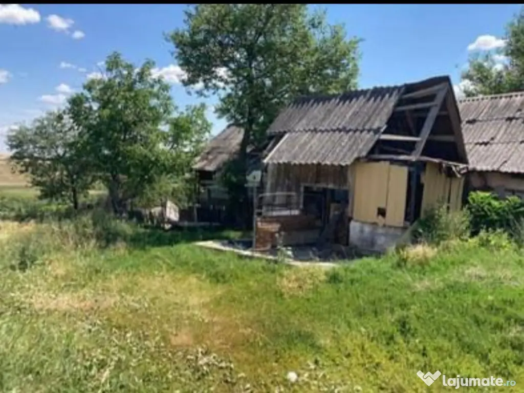 Reco Teren 5800 mp in Ghenetea | Strada asfaltata recent 