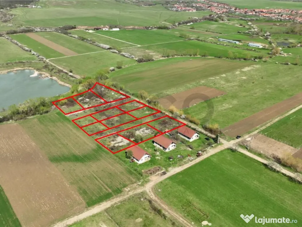 RECO , teren intravilan, Ineu,Bihor 