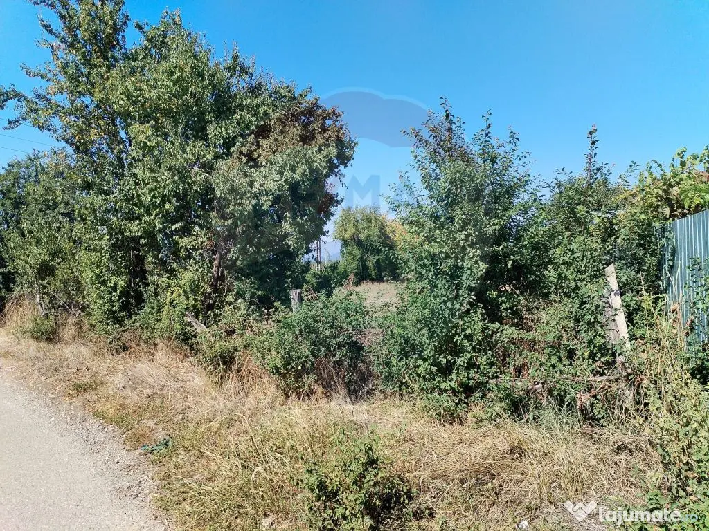 Teren 1,035mp Roznov / Strada Șes 
