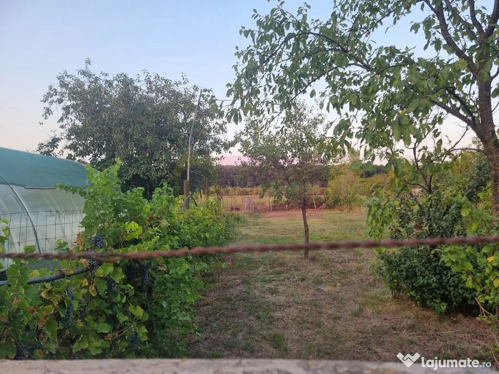 SADINA / GR - CASA P+1+M (5 CAM) DE VANZARE 