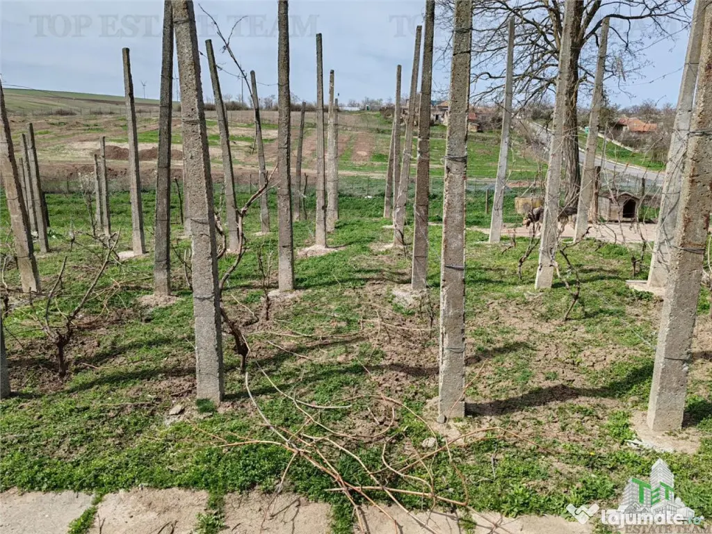 Casa renovata si teren generos Com Pantelimon Constanta 