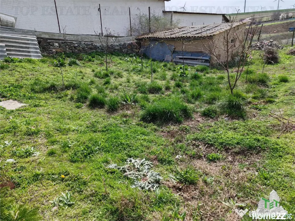 Colt de rai la tara doua case primitoare livada vie si lini