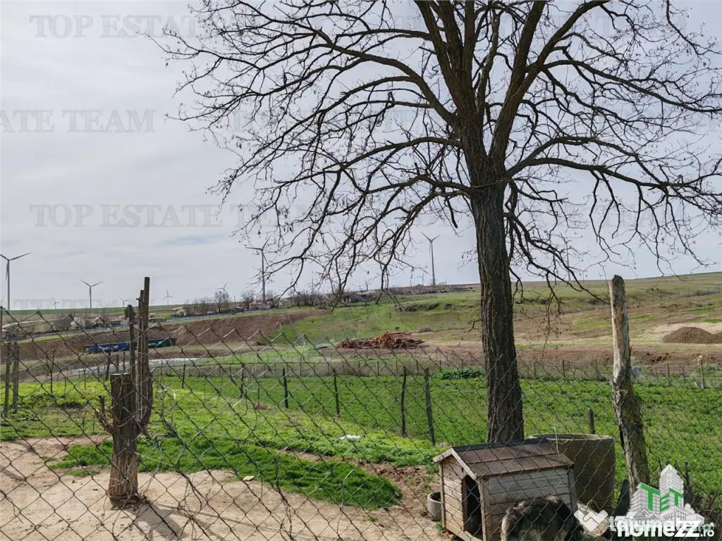 Colt de rai la tara doua case primitoare livada vie si lini