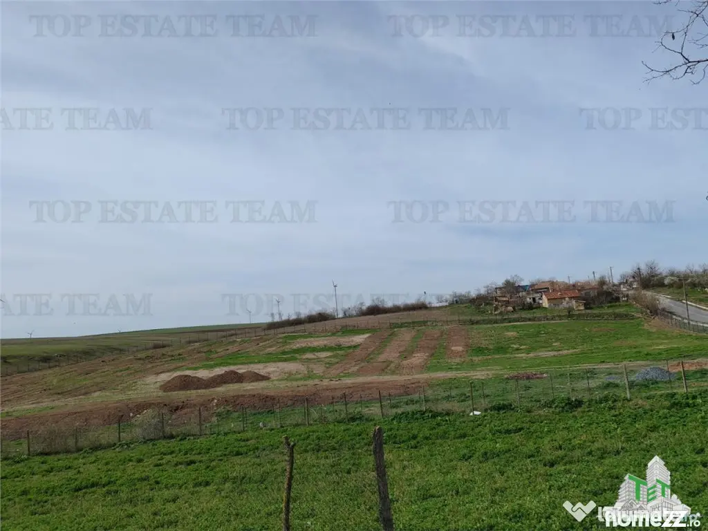 Colt de rai la tara doua case primitoare livada vie si lini