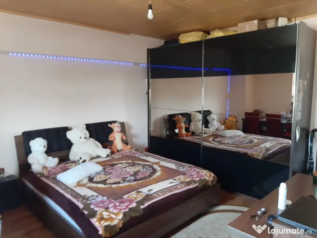 Garsoniera Calea Calarasilor/Viziru 