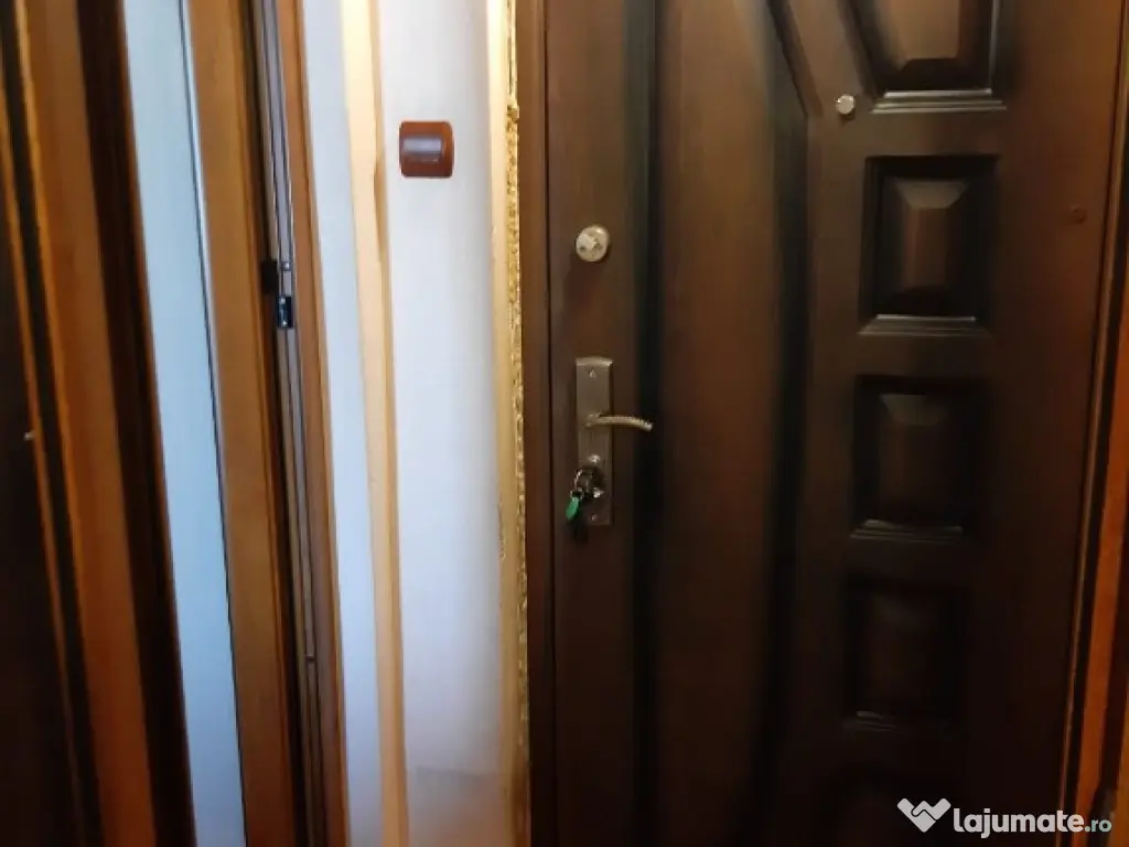 Garsoniera Calea Calarasilor/Viziru 