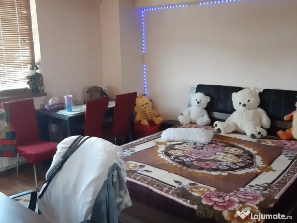 Garsoniera Calea Calarasilor/Viziru 