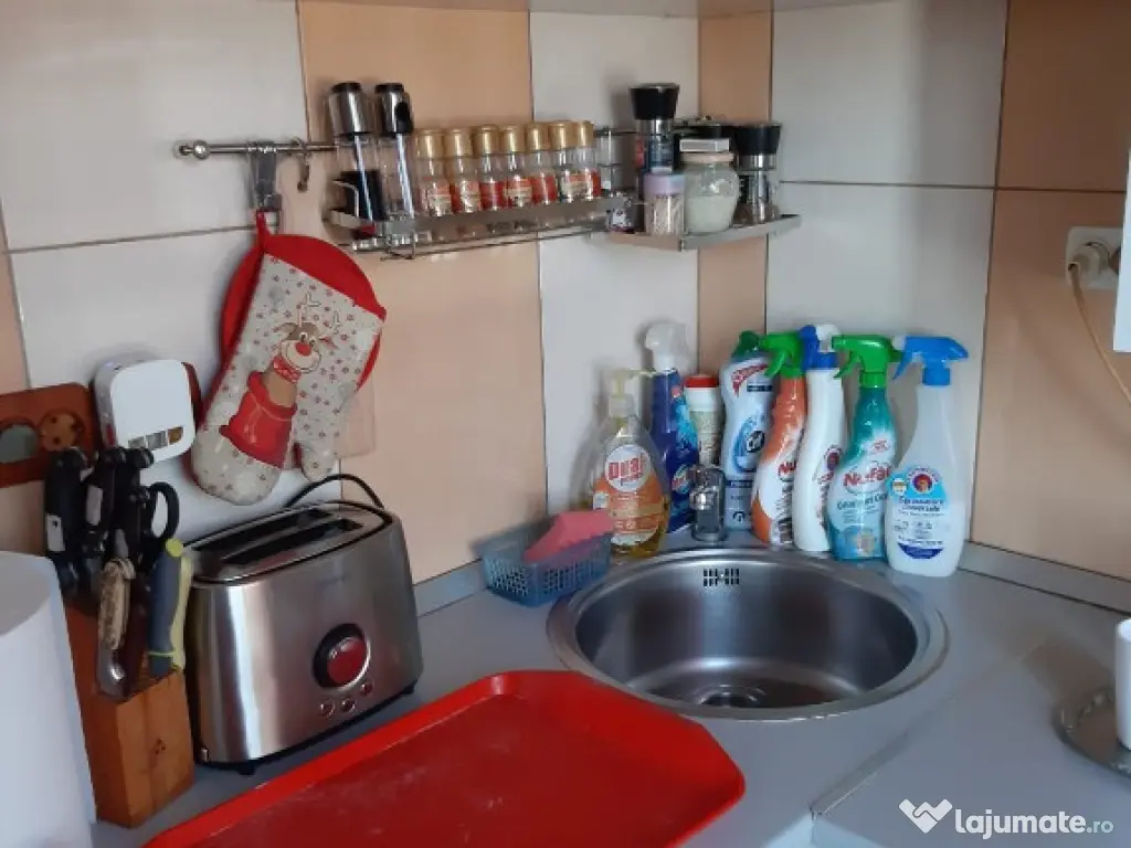 Garsoniera Calea Calarasilor/Viziru 