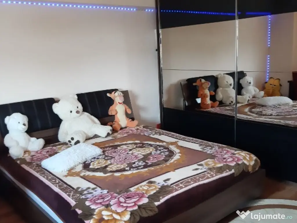 Garsoniera Calea Calarasilor/Viziru 