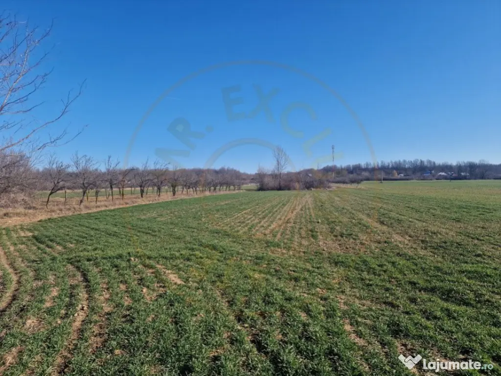 Teren intravilan comuna Sapata, Arges! 