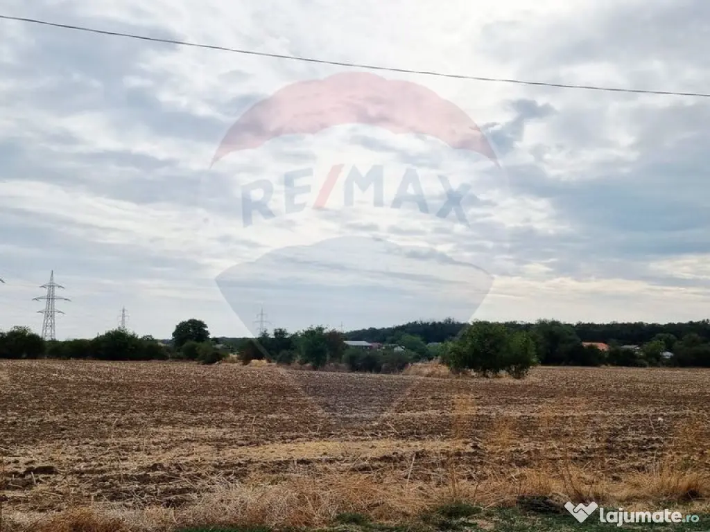 Vanzare Teren Balotesti / Strada Lacul Vlasia 