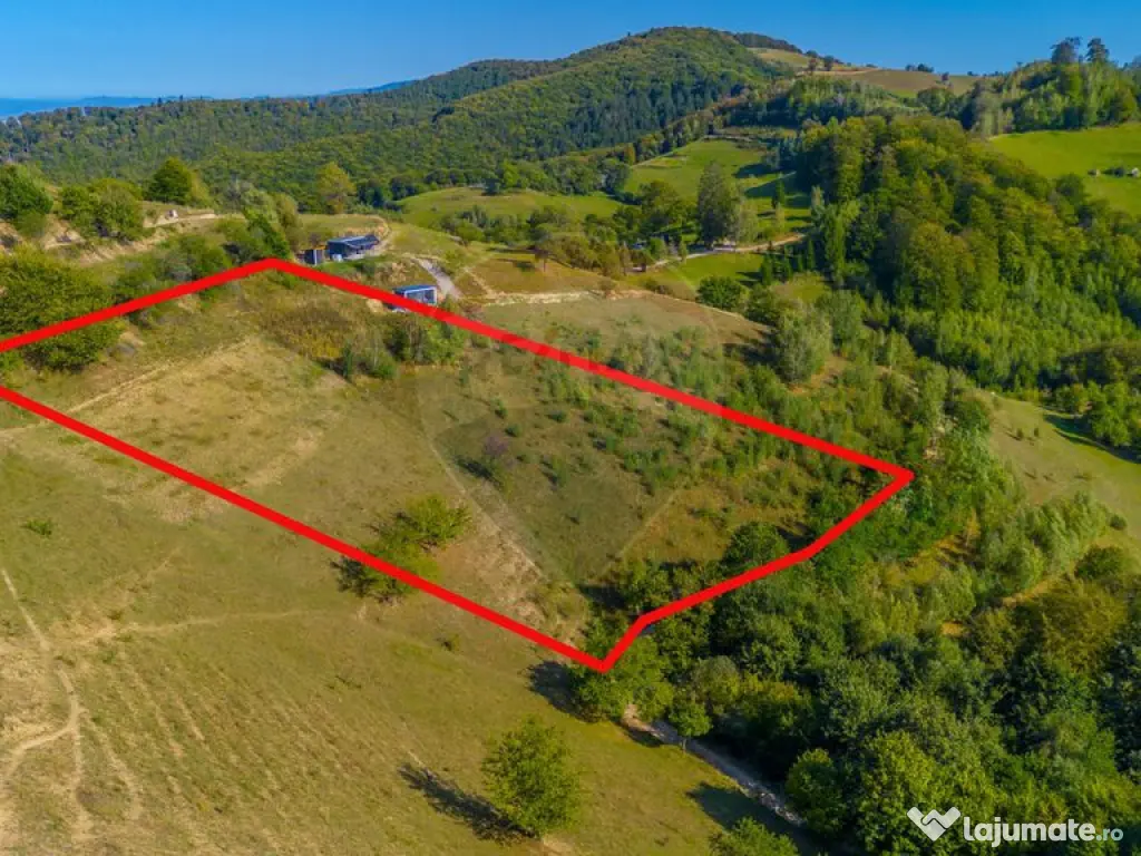 Teren extravilan 6,014mp | Holbav | BRASOV | COMISION 0|