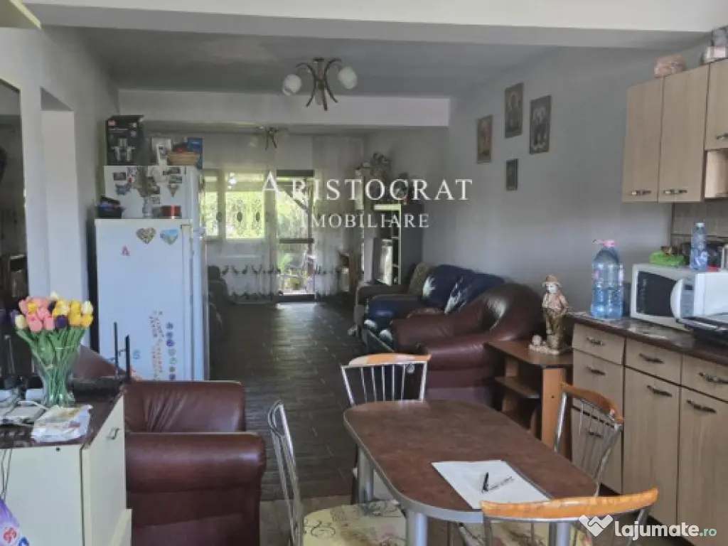 Duplex pe parter Tamasi padure 